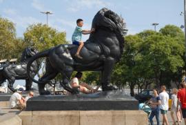León i niño