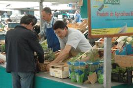 Padova/Mercato in Piazza dell'Erbe