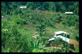 Guatemala 1996/San Juan Ixcán